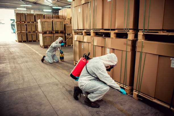 Best Best Pest Control Companies  in Durand, MI
