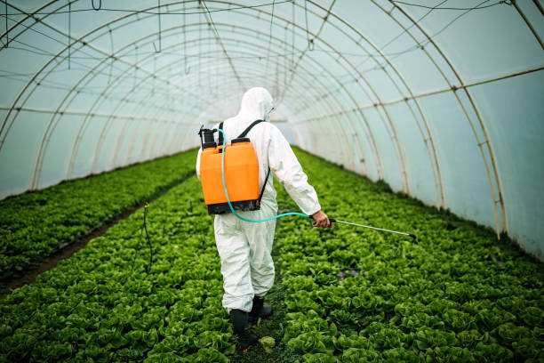 Best Ant Control Services  in Durand, MI