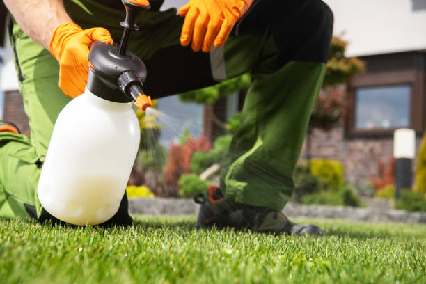 Best Bird Control  in Durand, MI