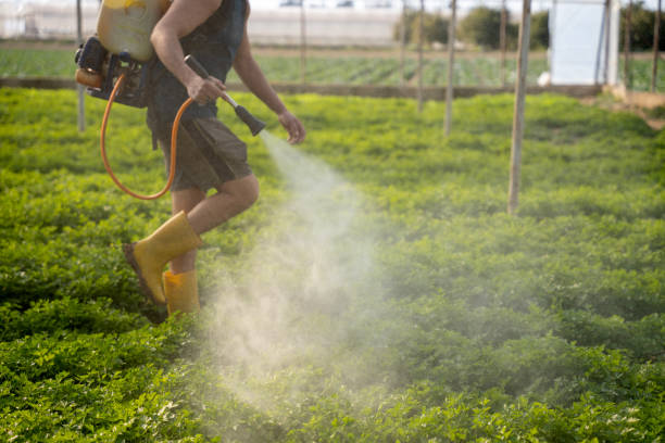 Best Insect Control  in Durand, MI