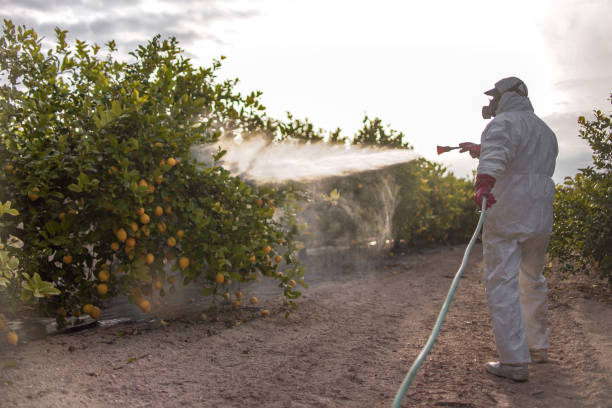 Best Exterminator Services  in Durand, MI