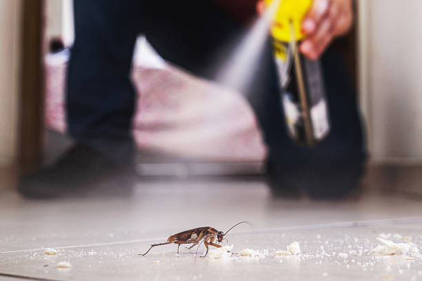 Best Best Pest Control Companies  in Durand, MI