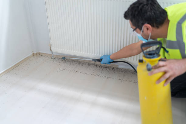 Best Ant Control Services  in Durand, MI