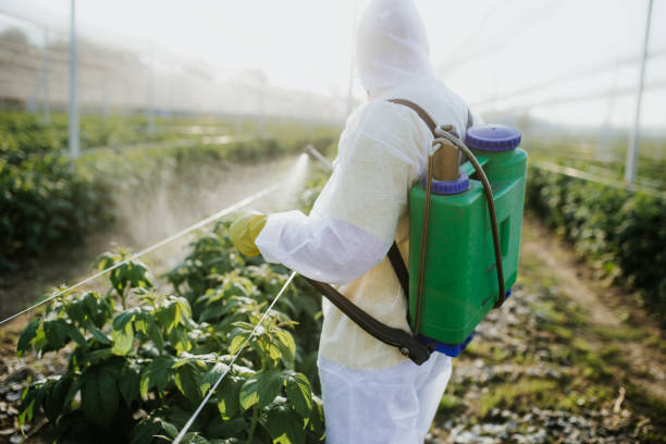 Best Pest Prevention Services  in Durand, MI